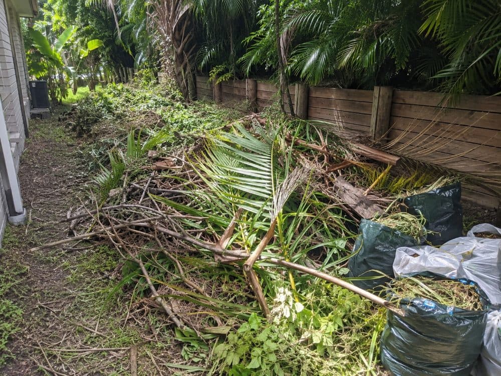 Palm fronds and green waste piled in a Gold Coast yard ready for removal